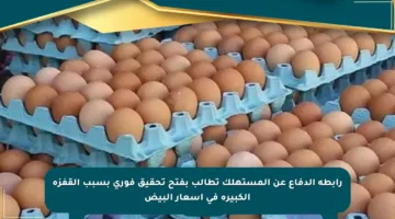 رابطة الدفاع عن المستهلك تطالب بفتح تحقيق فوري بسبب القفزة الكبيرة في أسعار البيض